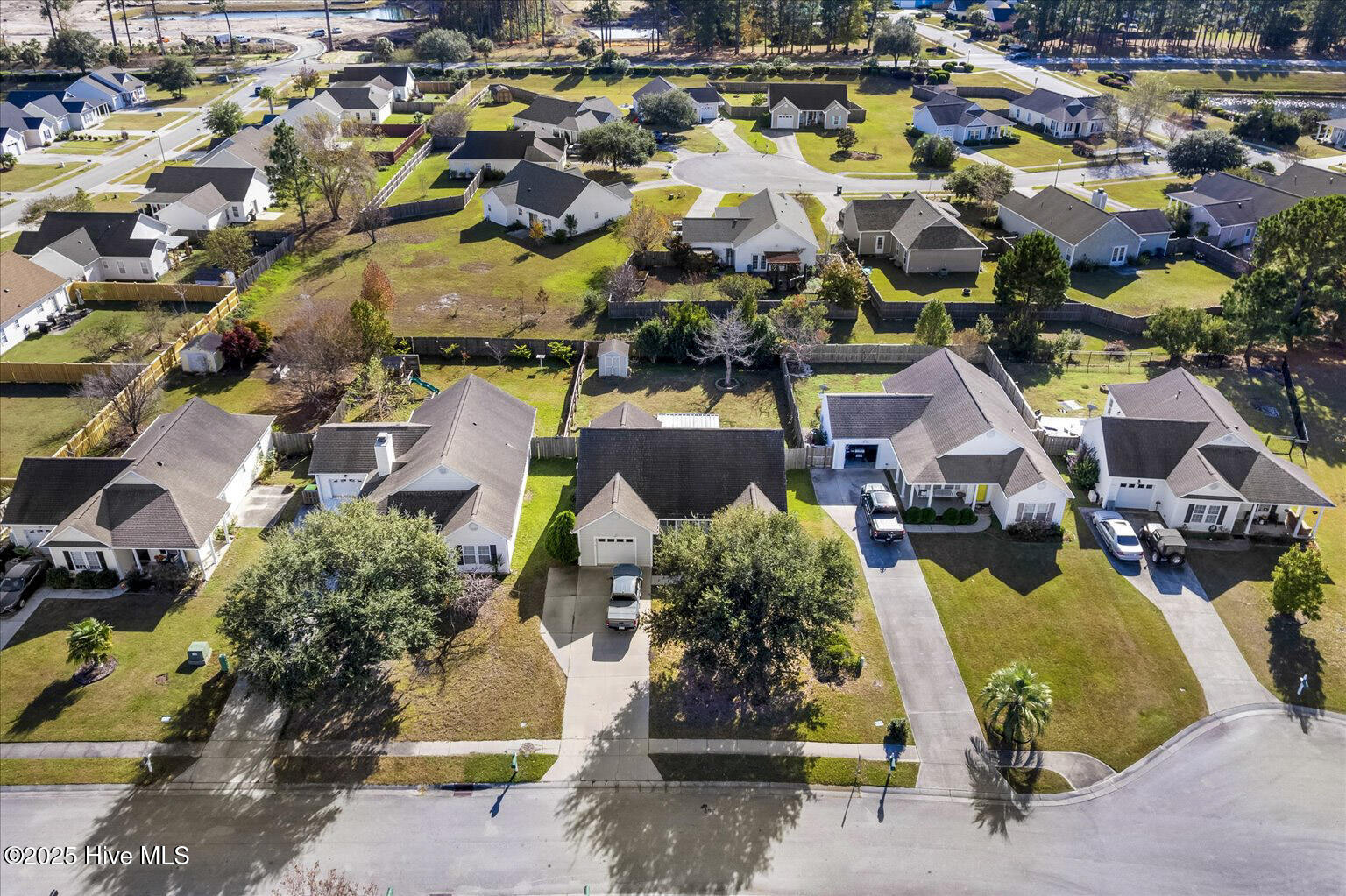 100542002 | Photo 20