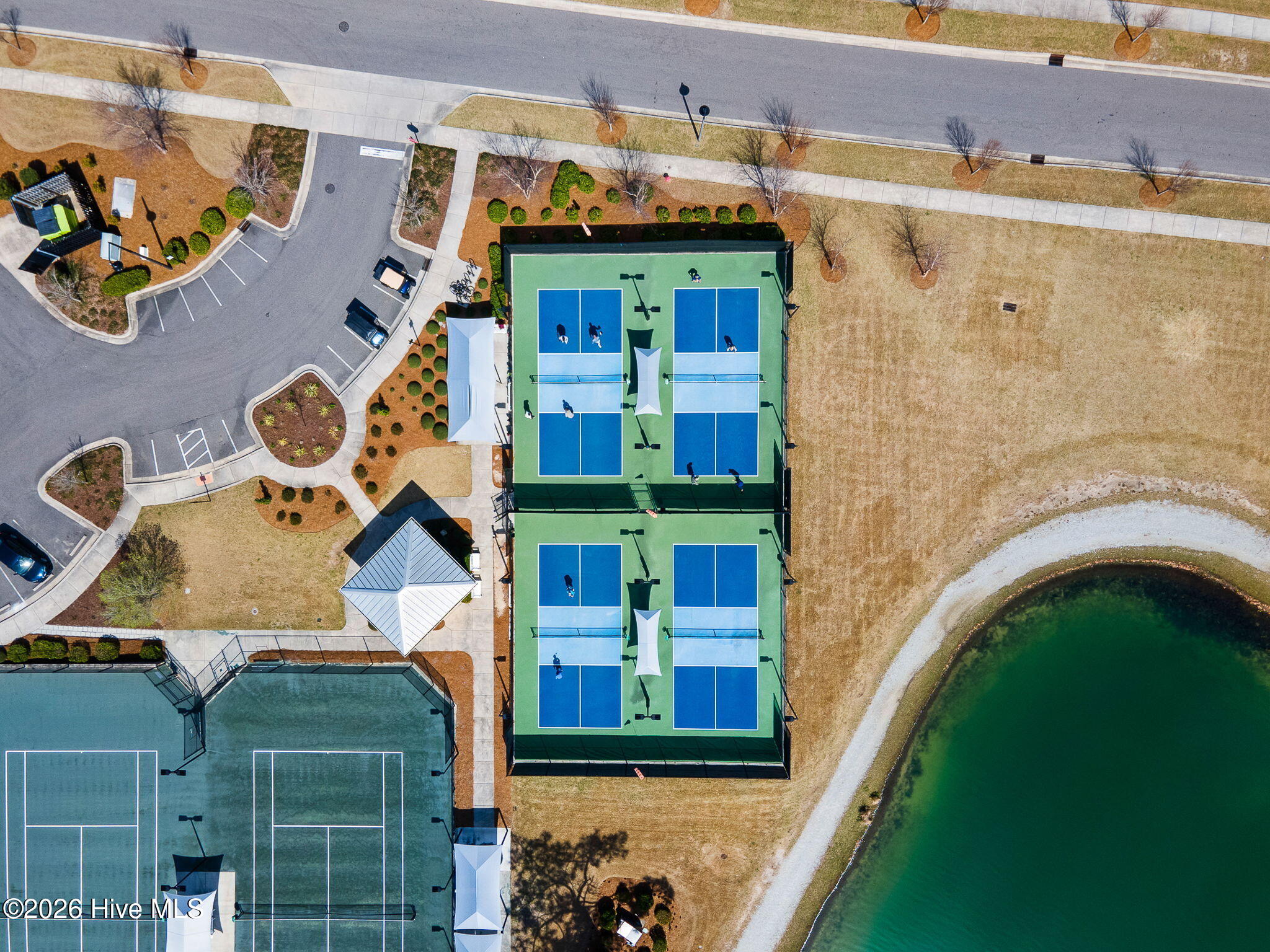 100565858 | Photo 58