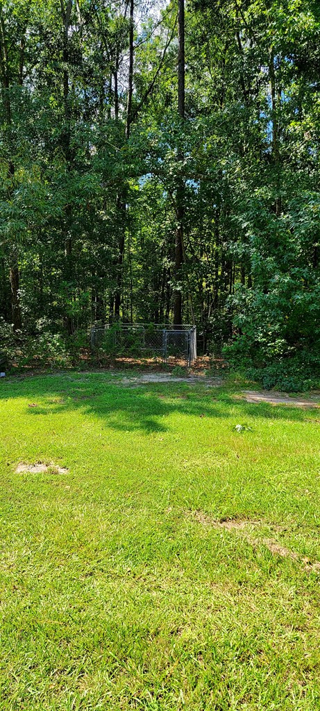 1074 Bennock Mill Road, Augusta, GA 30906 Listing Photo  56