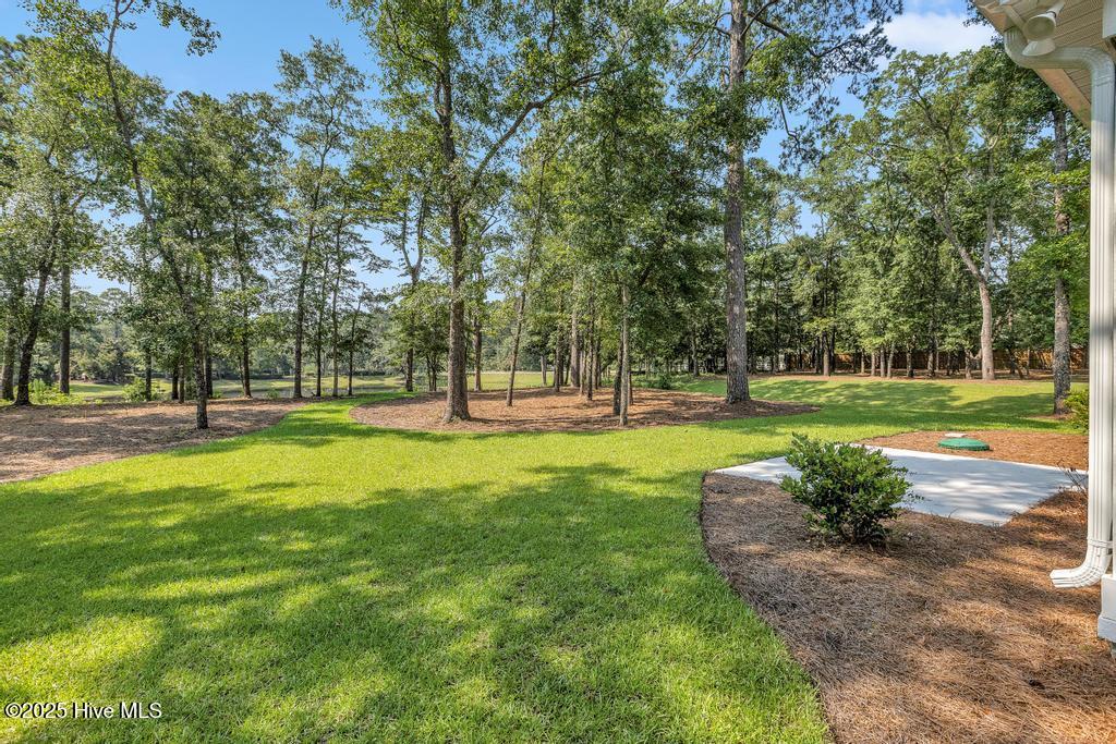 100535859 | Photo 38