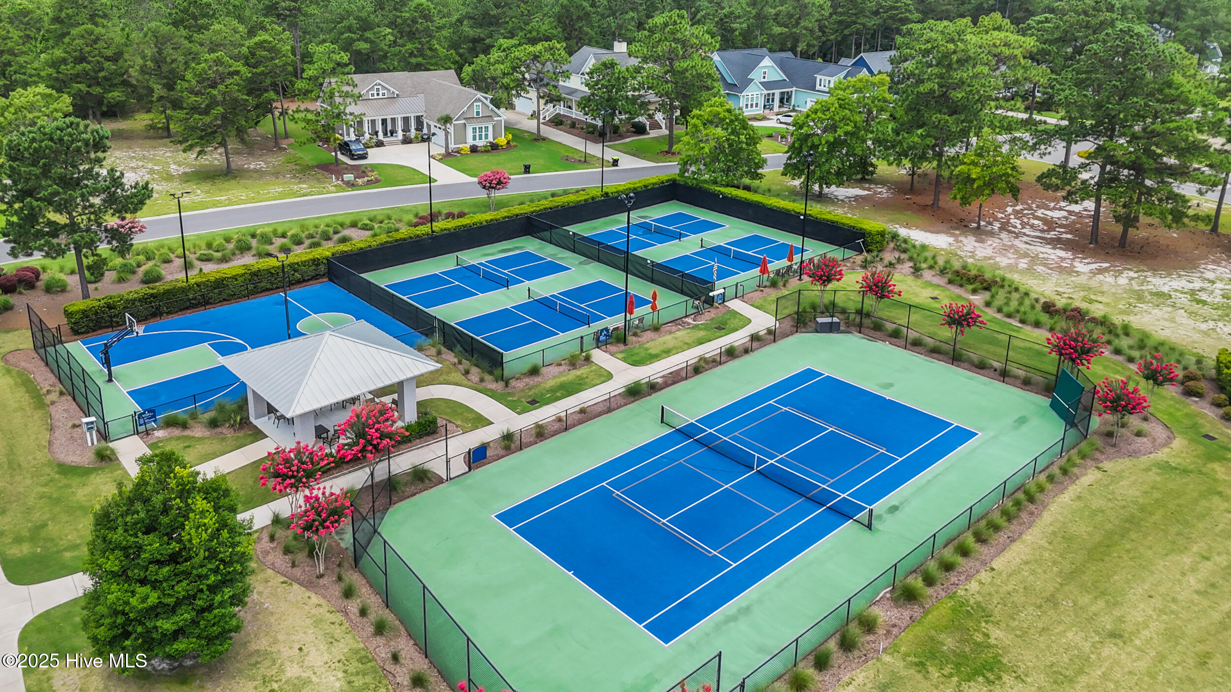 100515249 | Photo 63