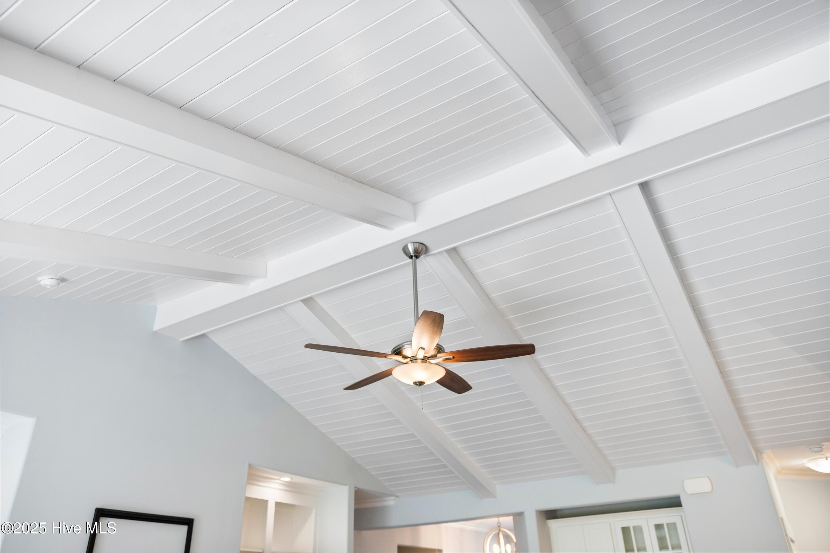 100531261 | Photo 17