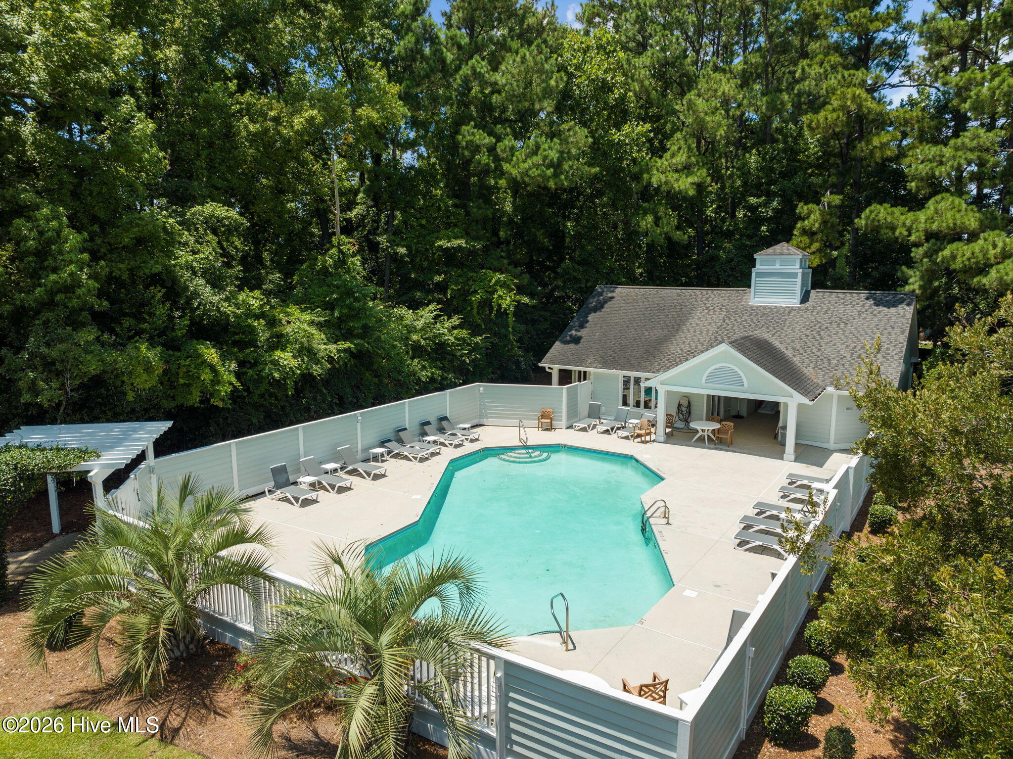 100558805 | Photo 33