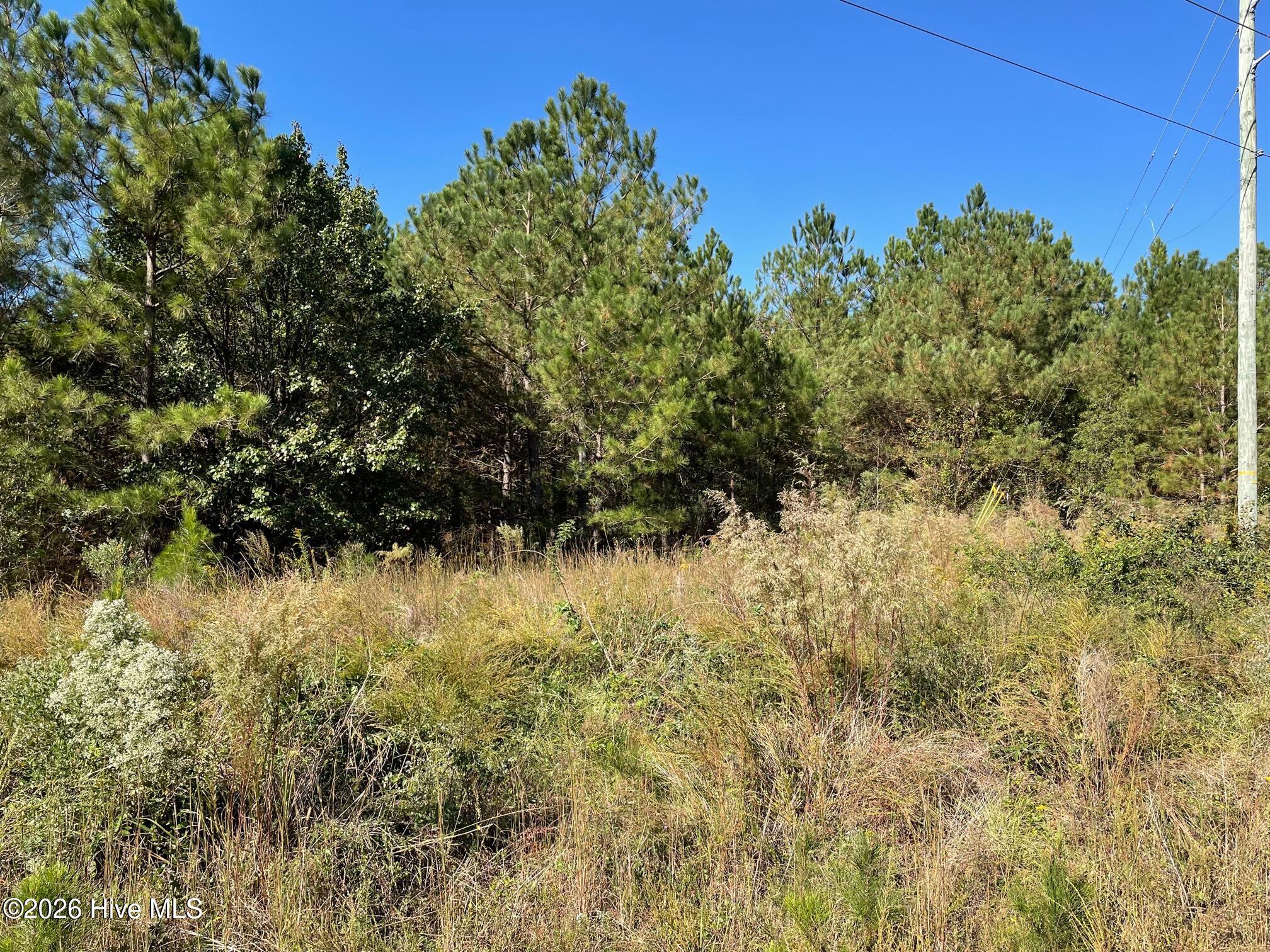 Exterior photo of 1c 1C Dunn Road Ext, Roseboro, NC 28382. MLS: 100590536