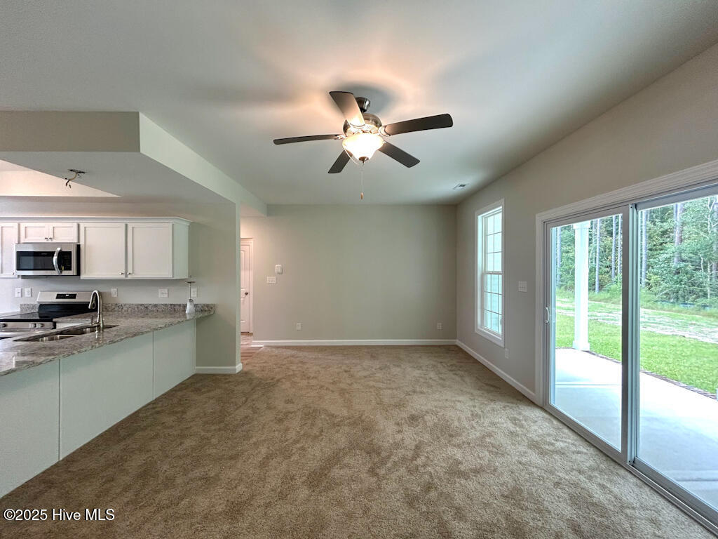 100513411 | Photo 20