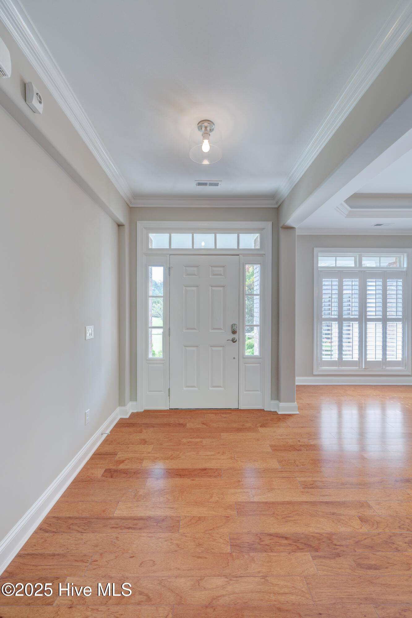 100527898 | Photo 58