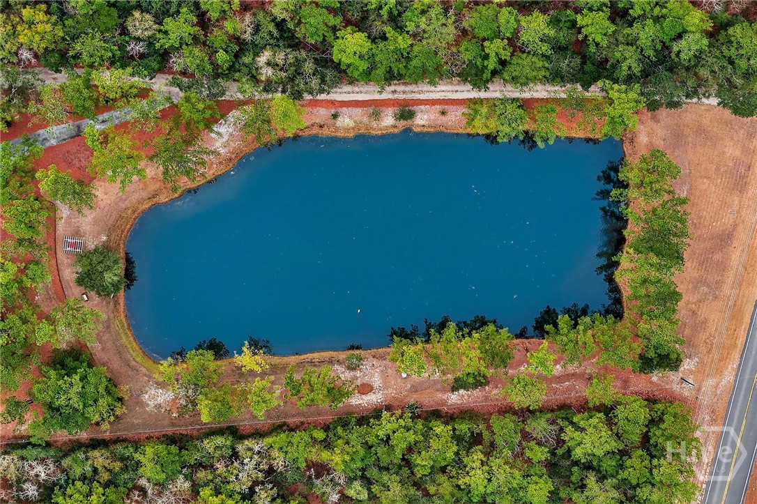 22103 GA HWY 144 E, Richmond Hill, GA 31324 Listing Photo  40