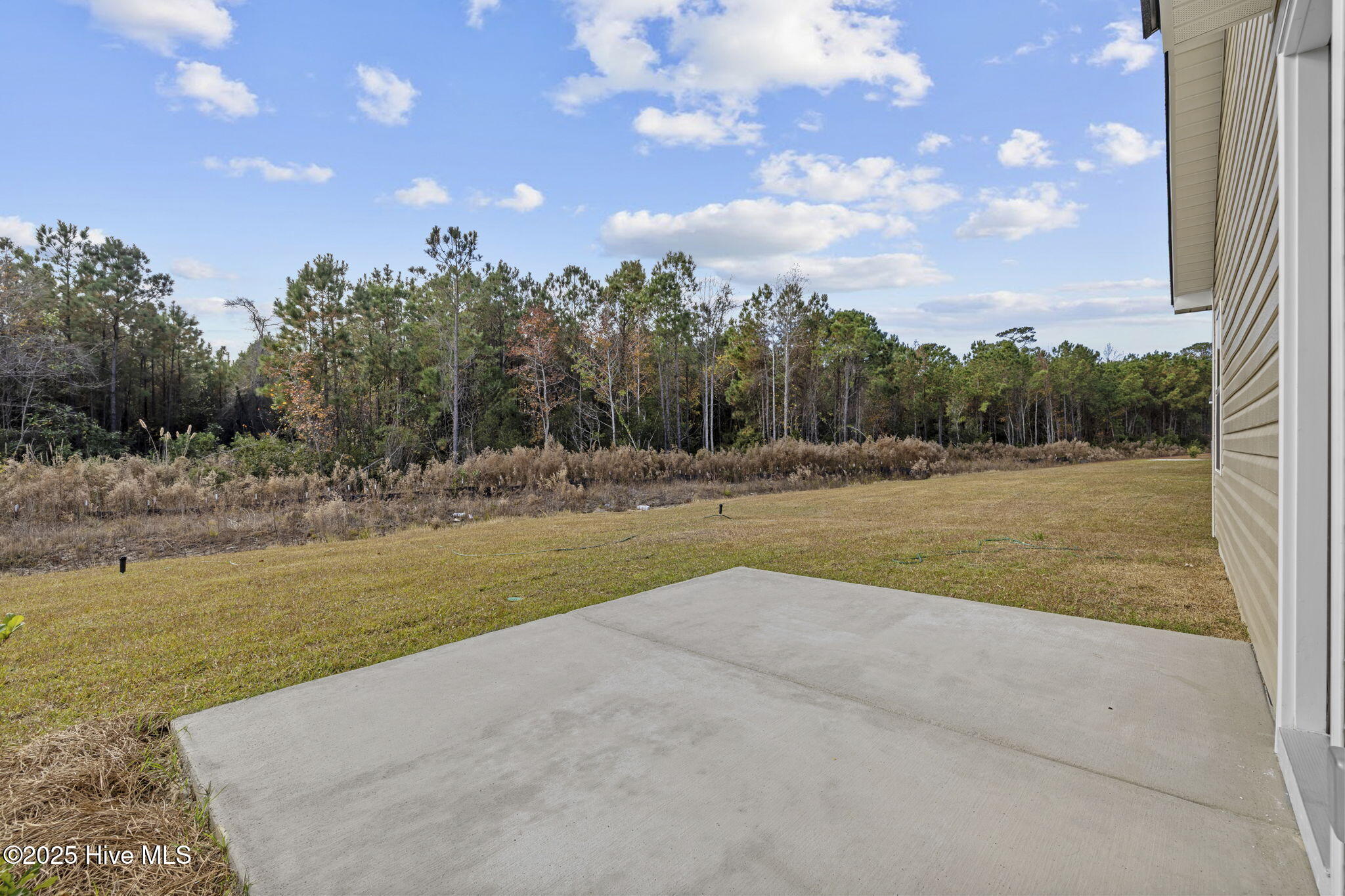 100544084 | Photo 54