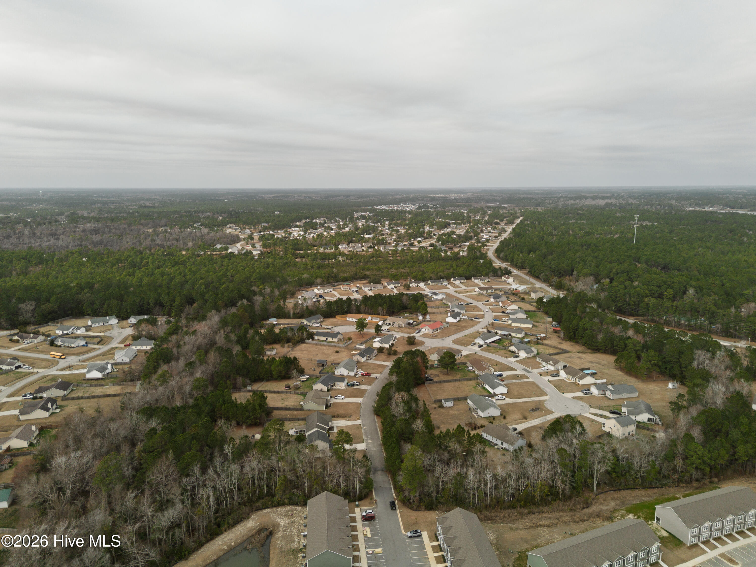 100557262 | Photo 75