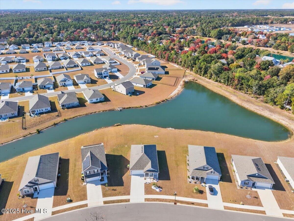 100542039 | Photo 41