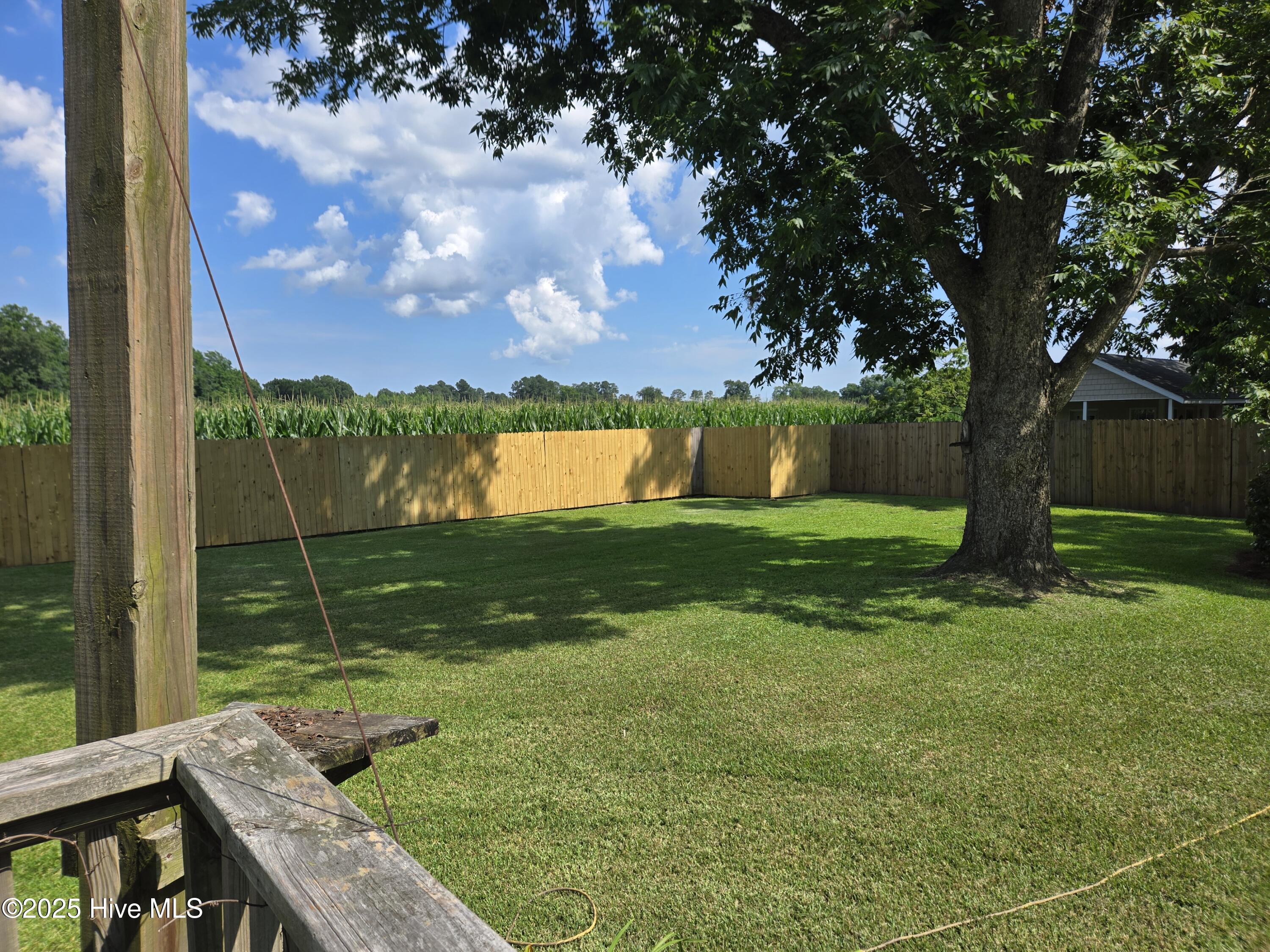 100517871 | Photo 36