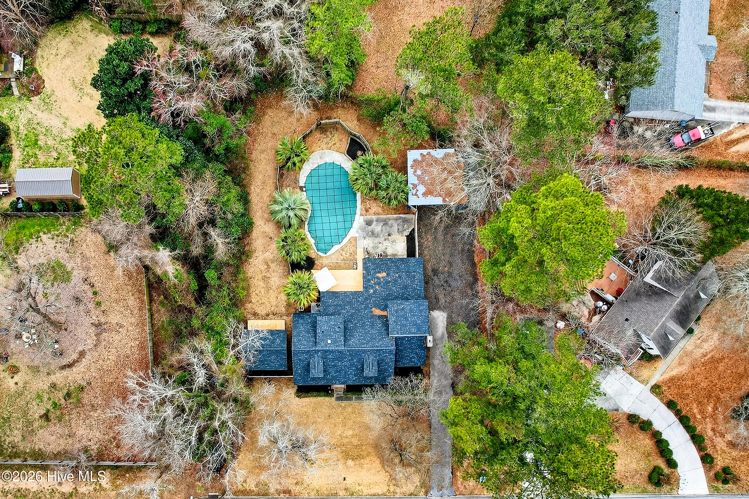 100558512 | Photo 41