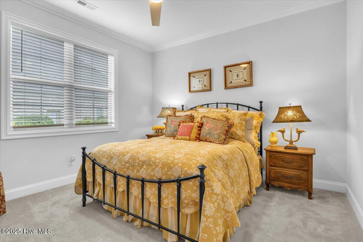 100527091 | Photo 41