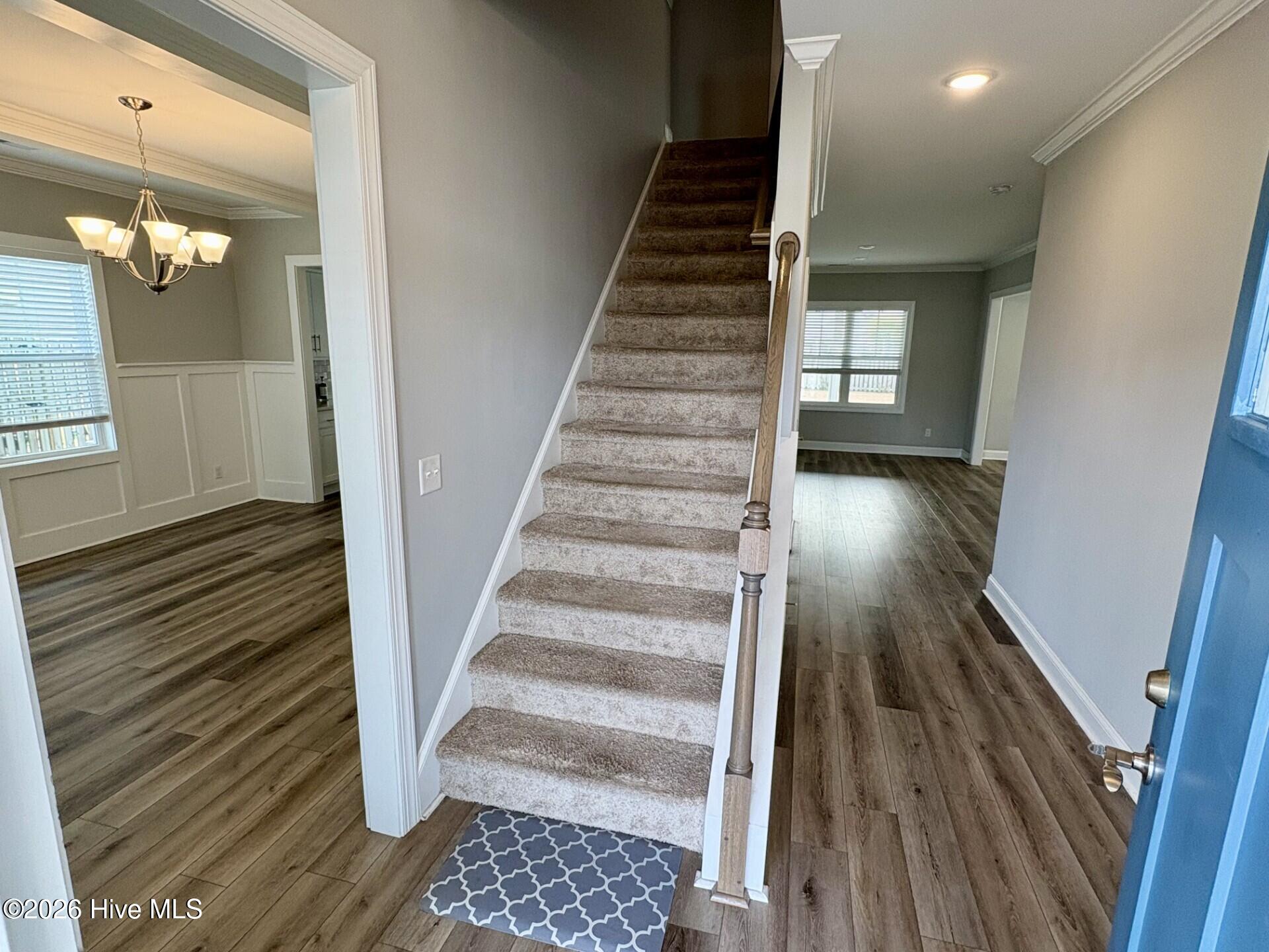 100538351 | Photo 12