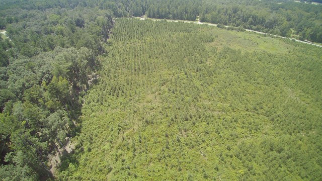 00 Augusta Highway, Dearing, GA 30808 Listing Photo  18