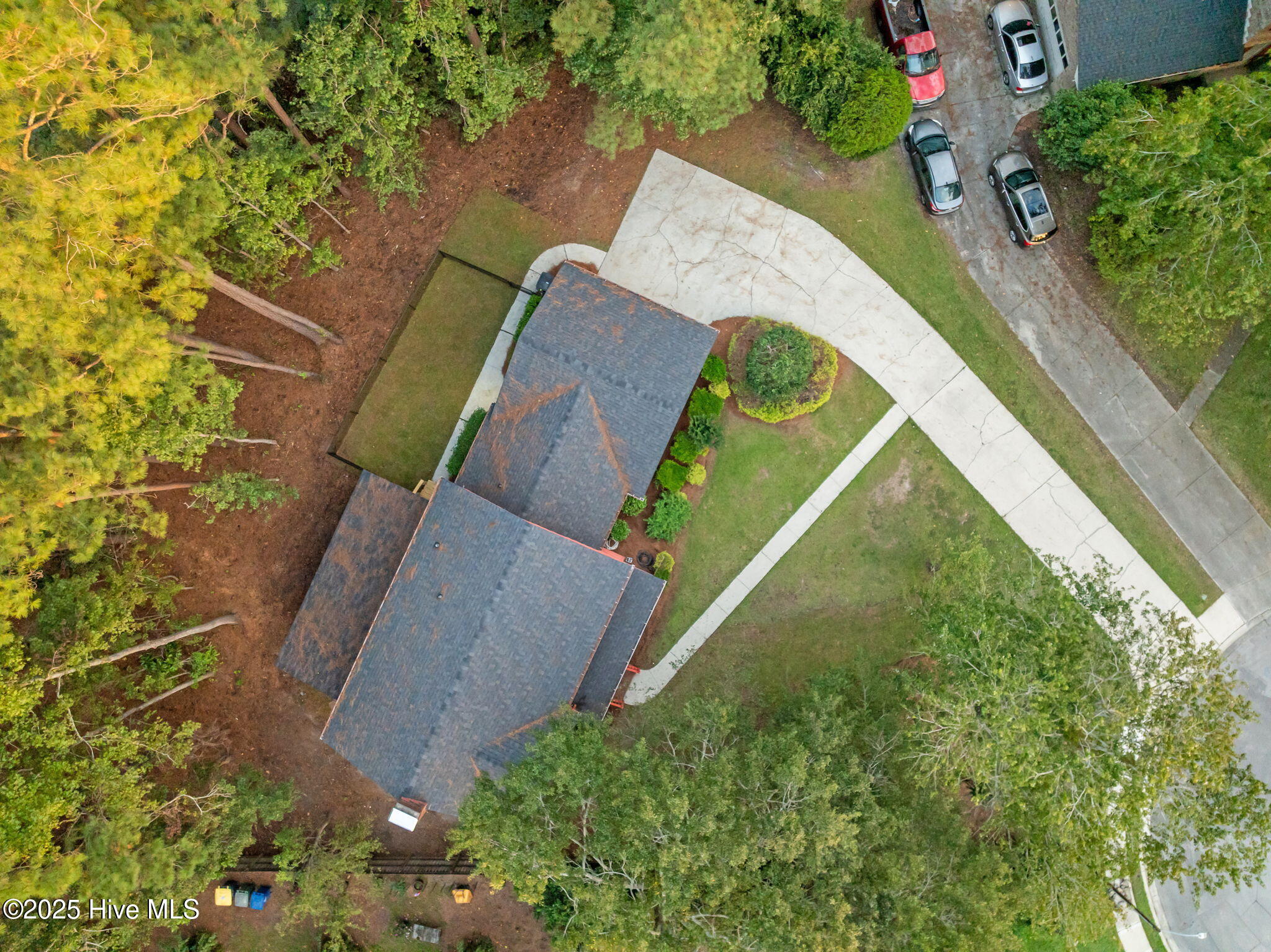 100506266 | Photo 10