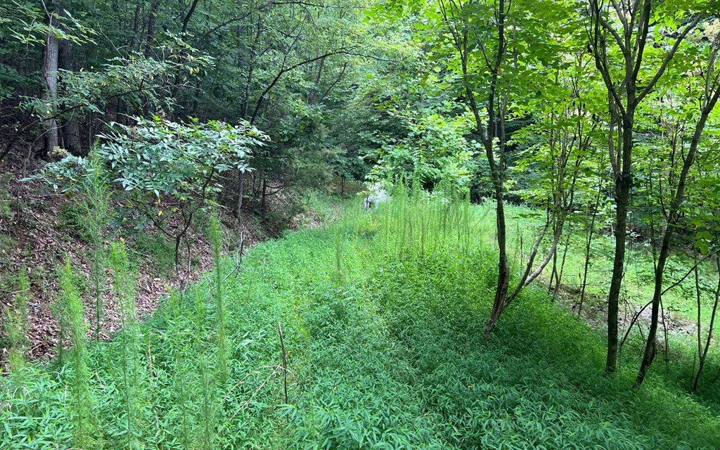 Exterior photo of Lot 12 The Preserve, Brasstown, NC 28902. MLS: 98543695