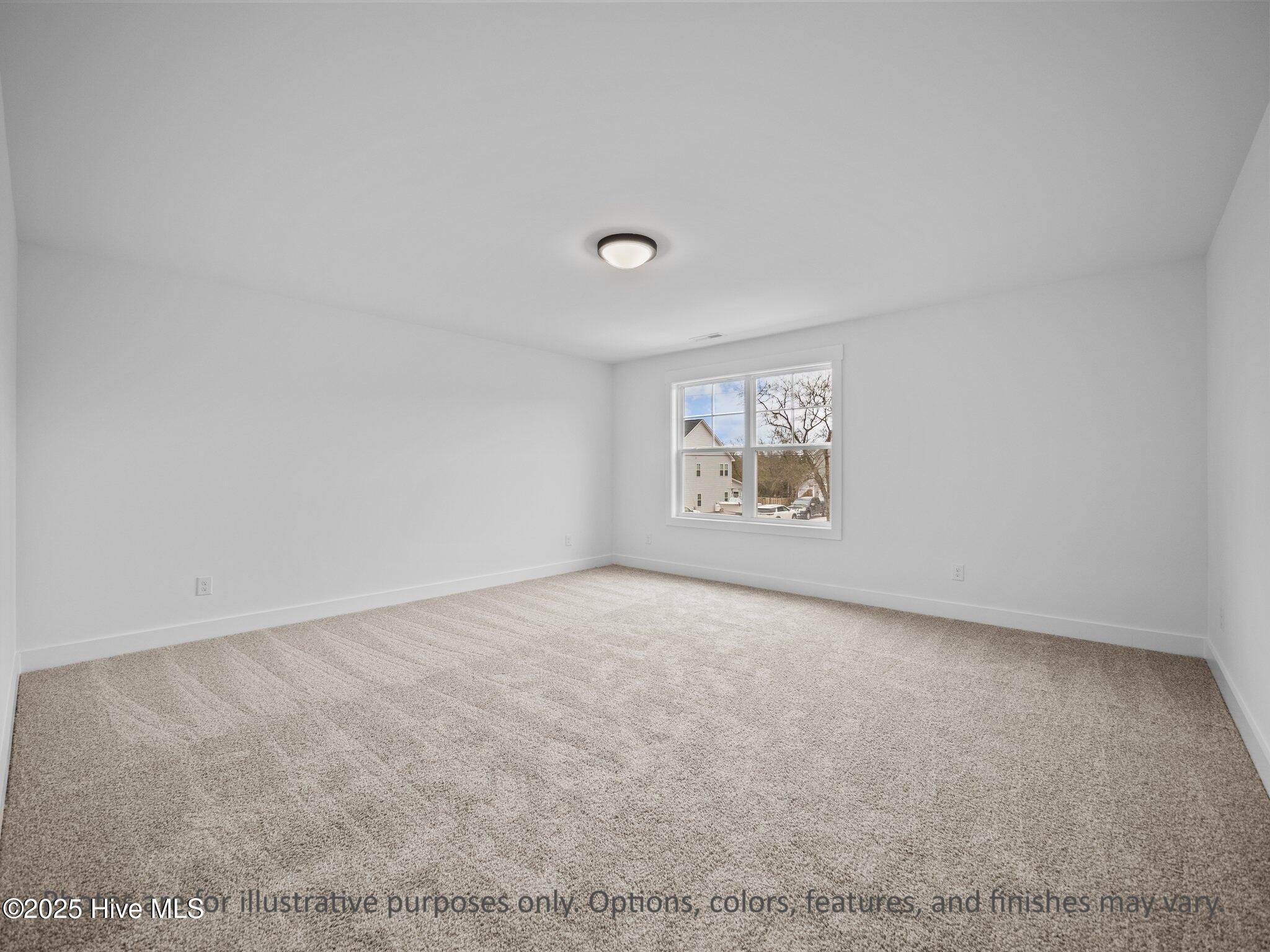 100536099 | Photo 34