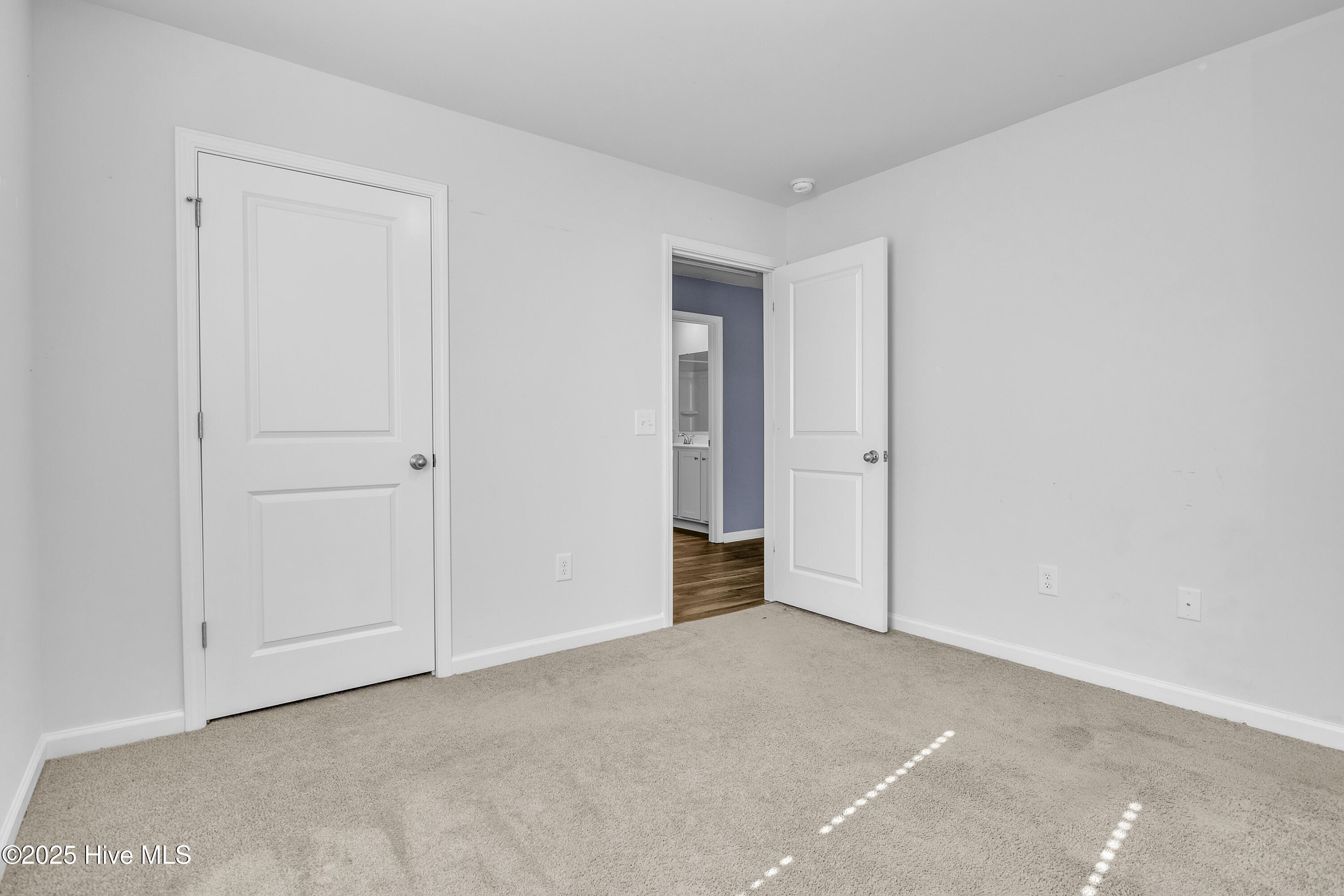 100540789 | Photo 51