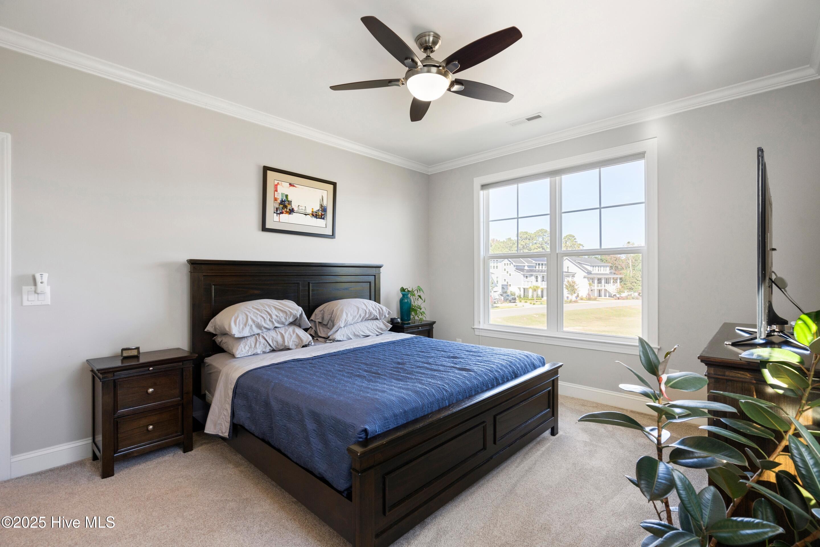 100538062 | Photo 41