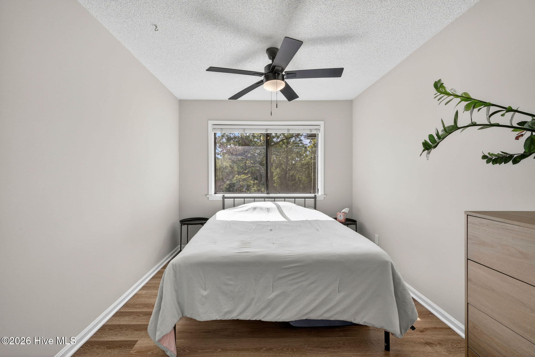 100555356 | Photo 18