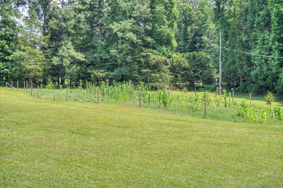 7003 Moontown Road