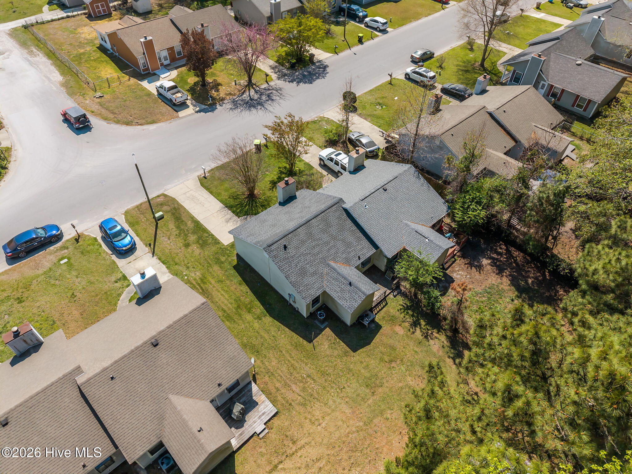 100563578 | Photo 37