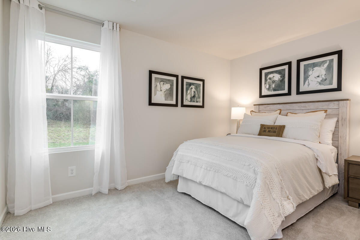 100555058 | Photo 15