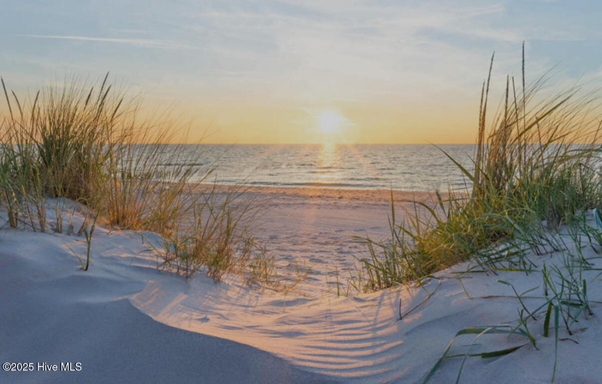 100524137 | Photo 10