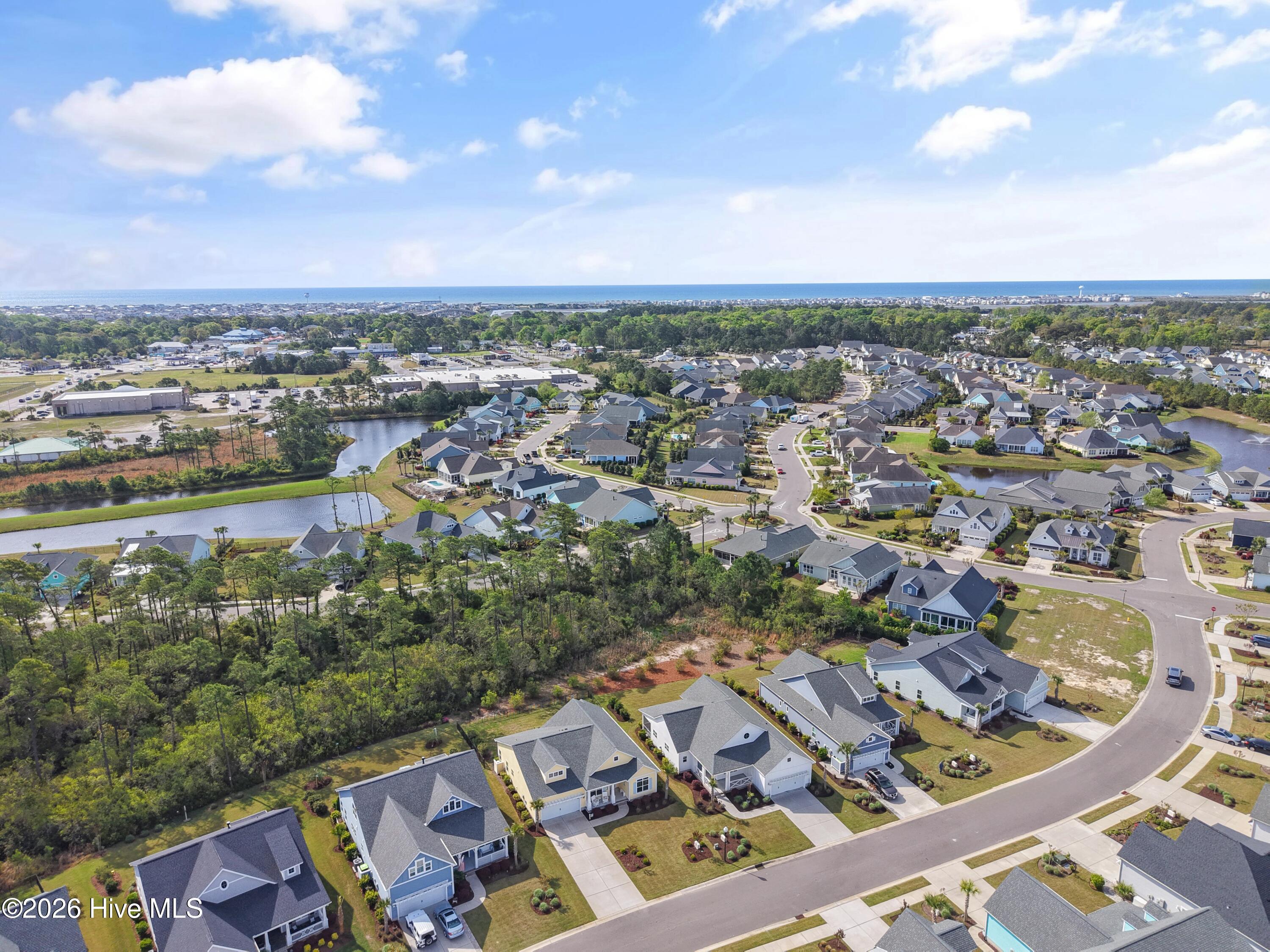 100566064 | Photo 56