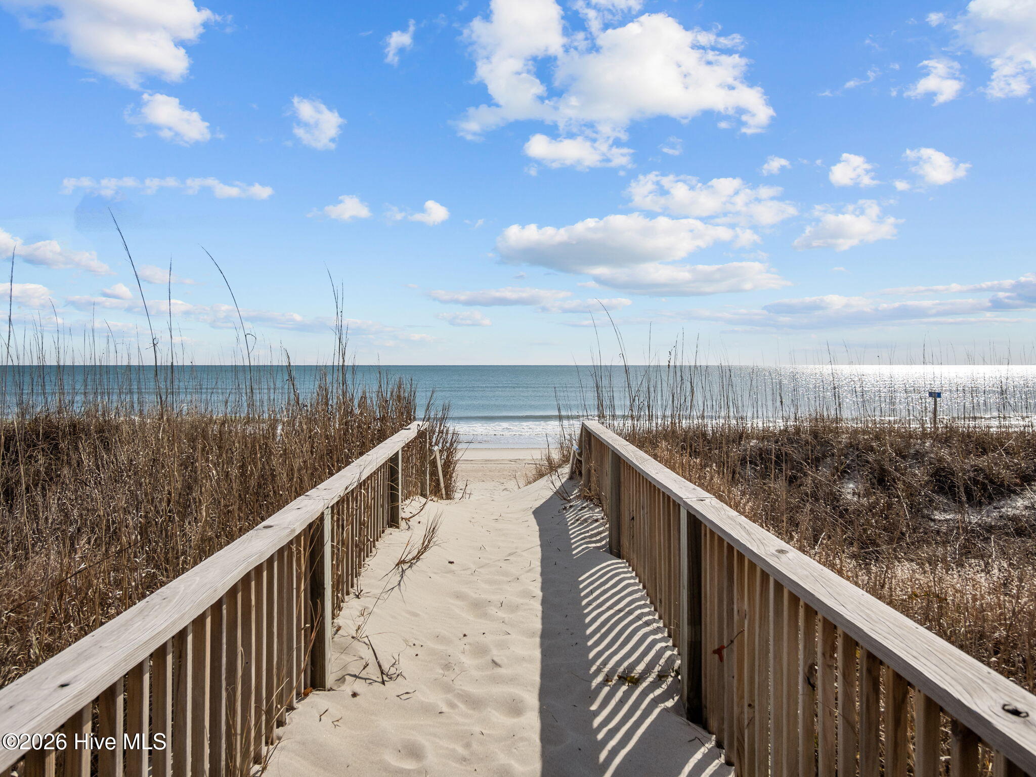 100552936 | Photo 41