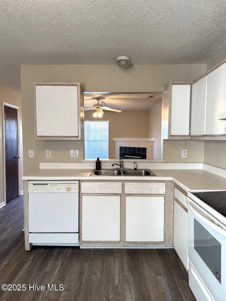 100566132 | Photo 11