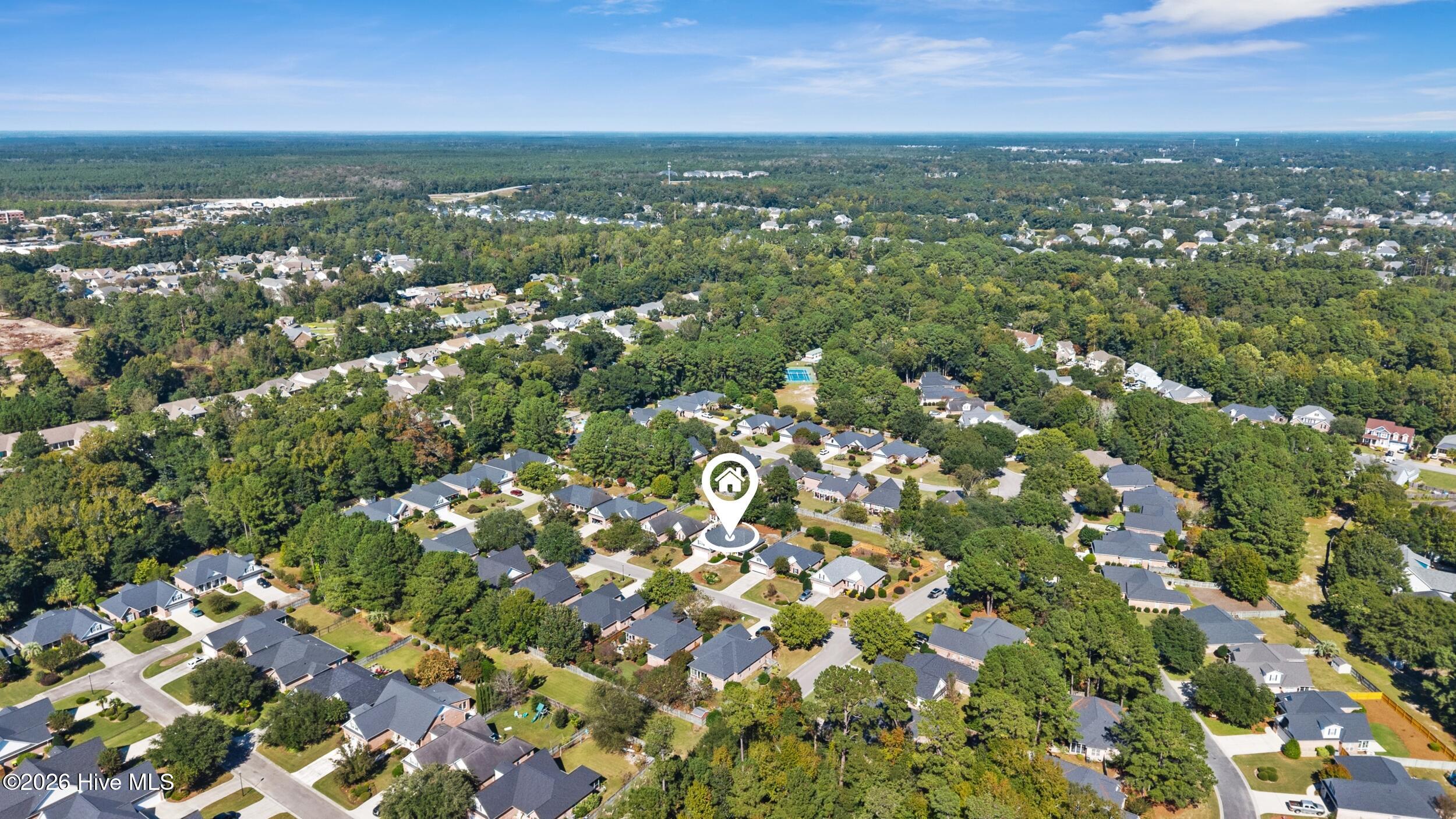 100611487 | Photo 3