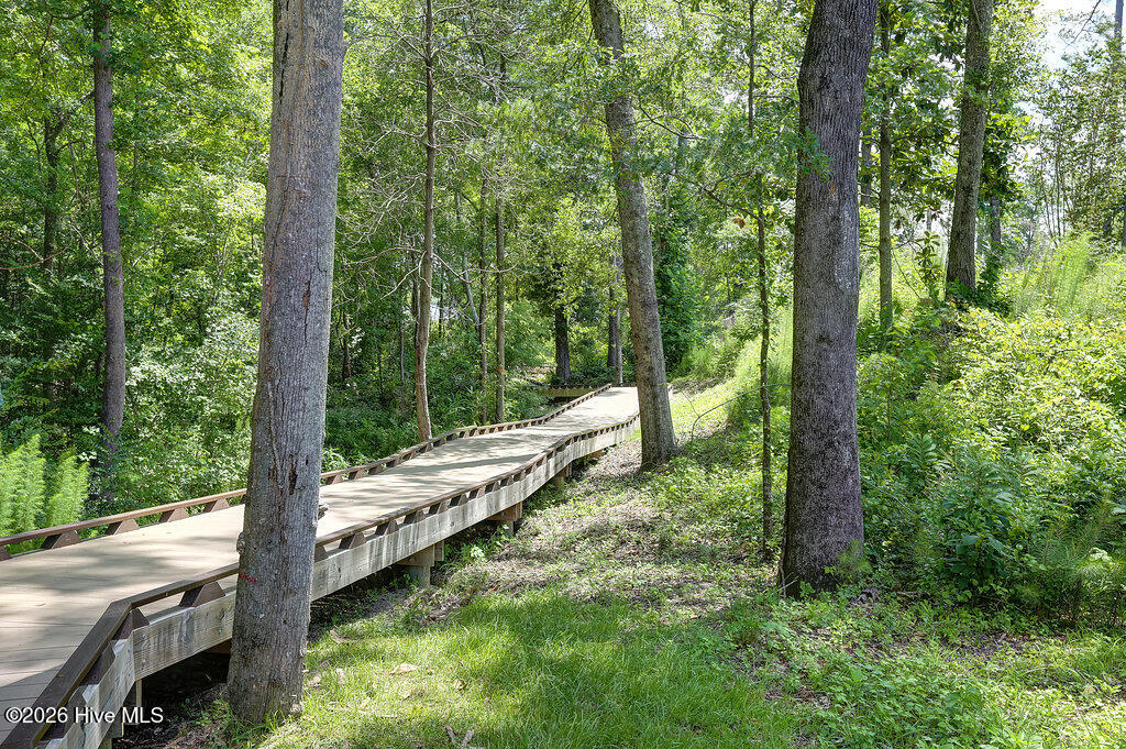 100553191 | Photo 39