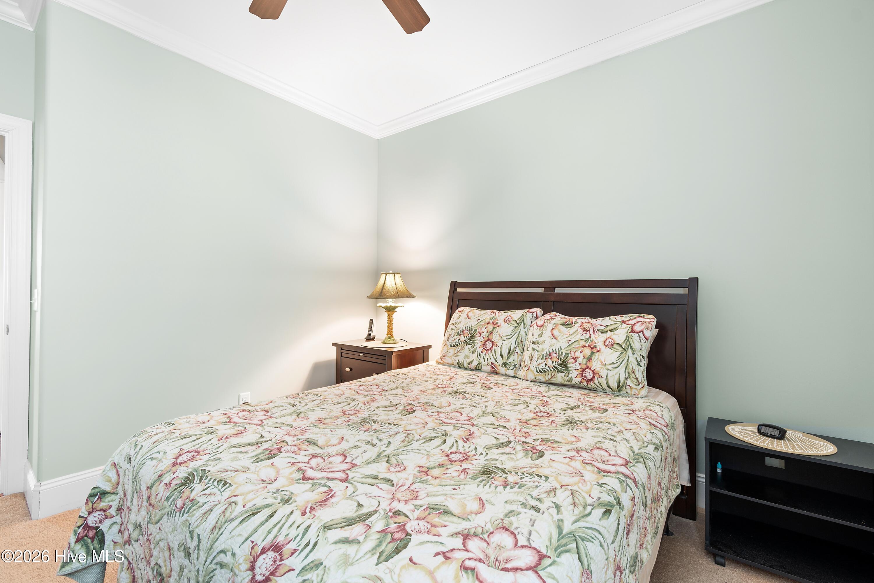 100554083 | Photo 30