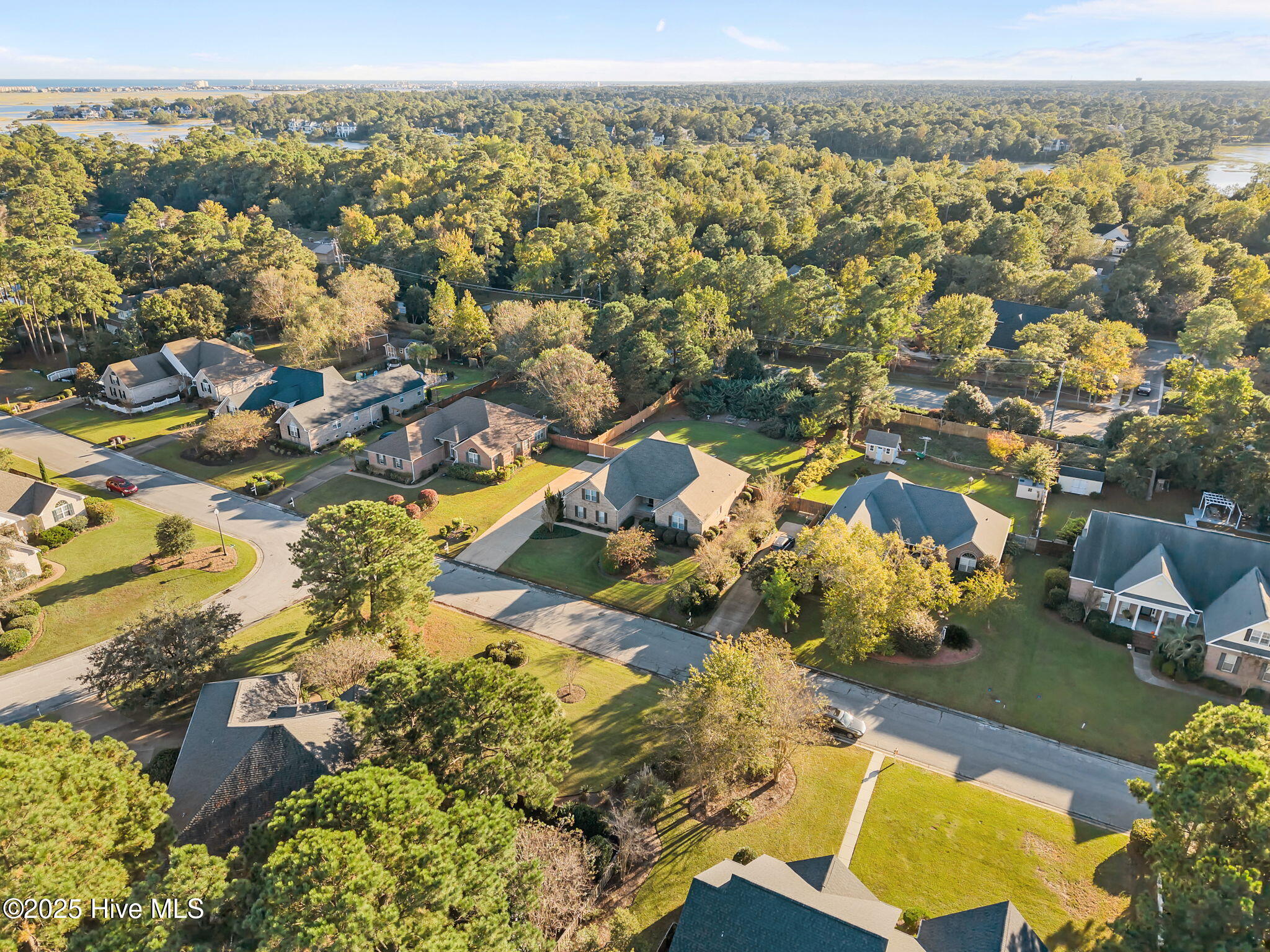 100515832 | Photo 60