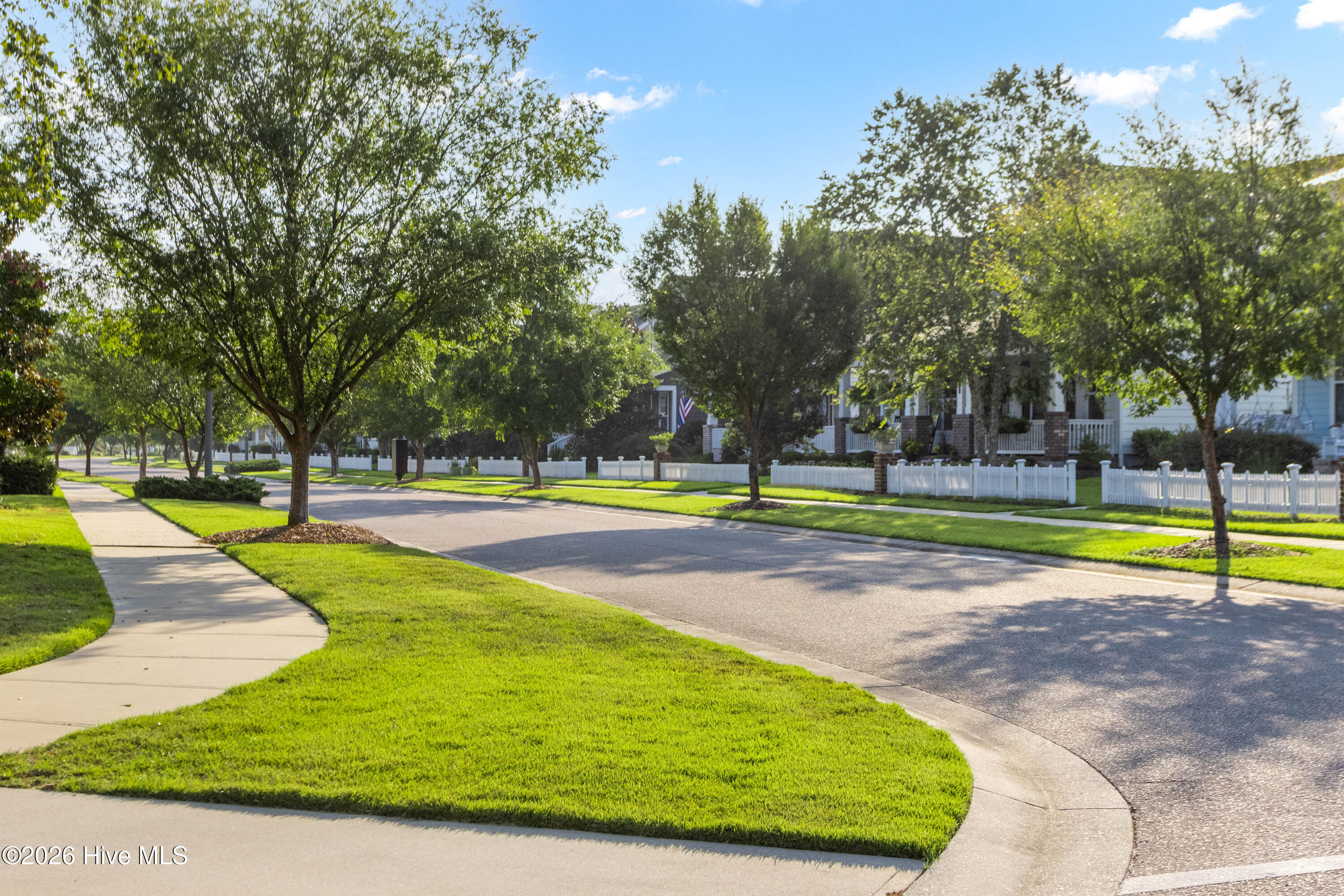 100554021 | Photo 62