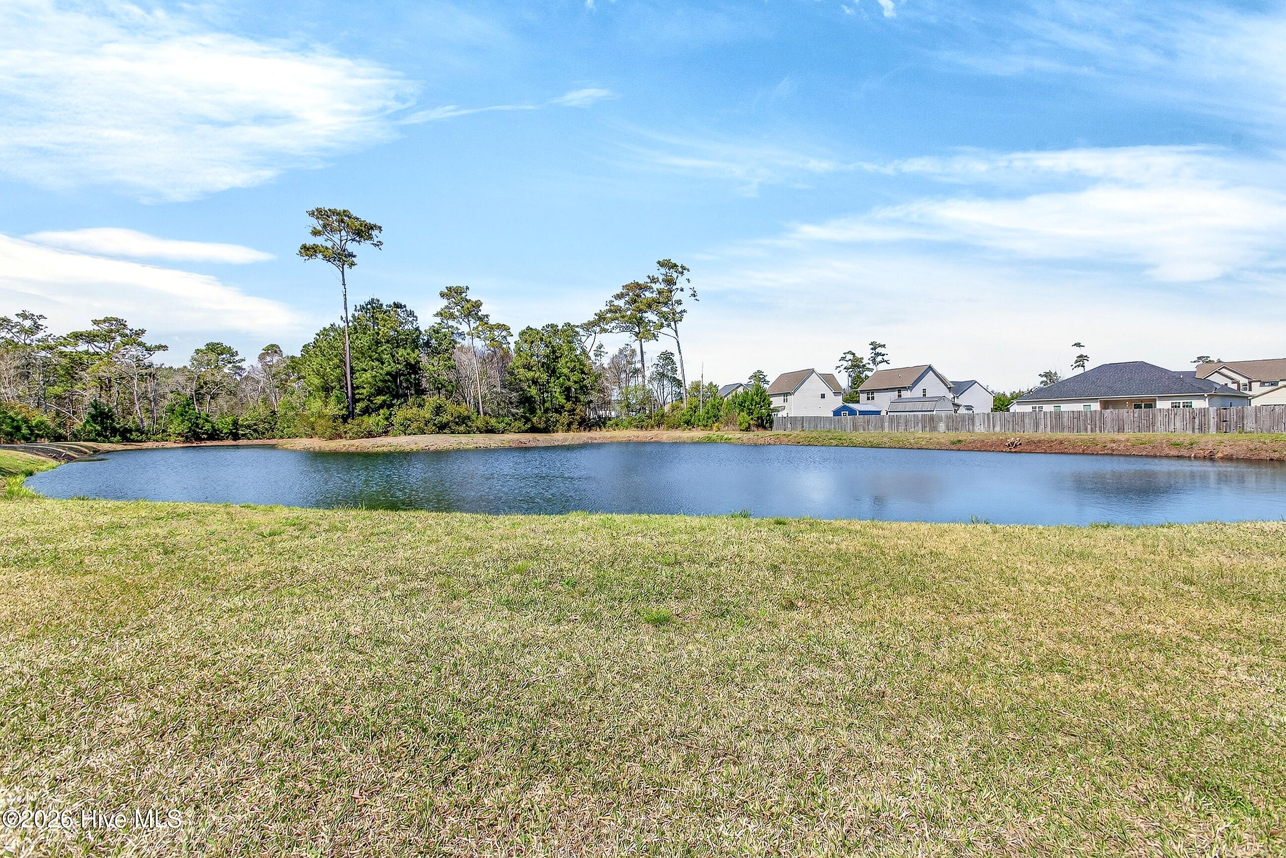 100559687 | Photo 35