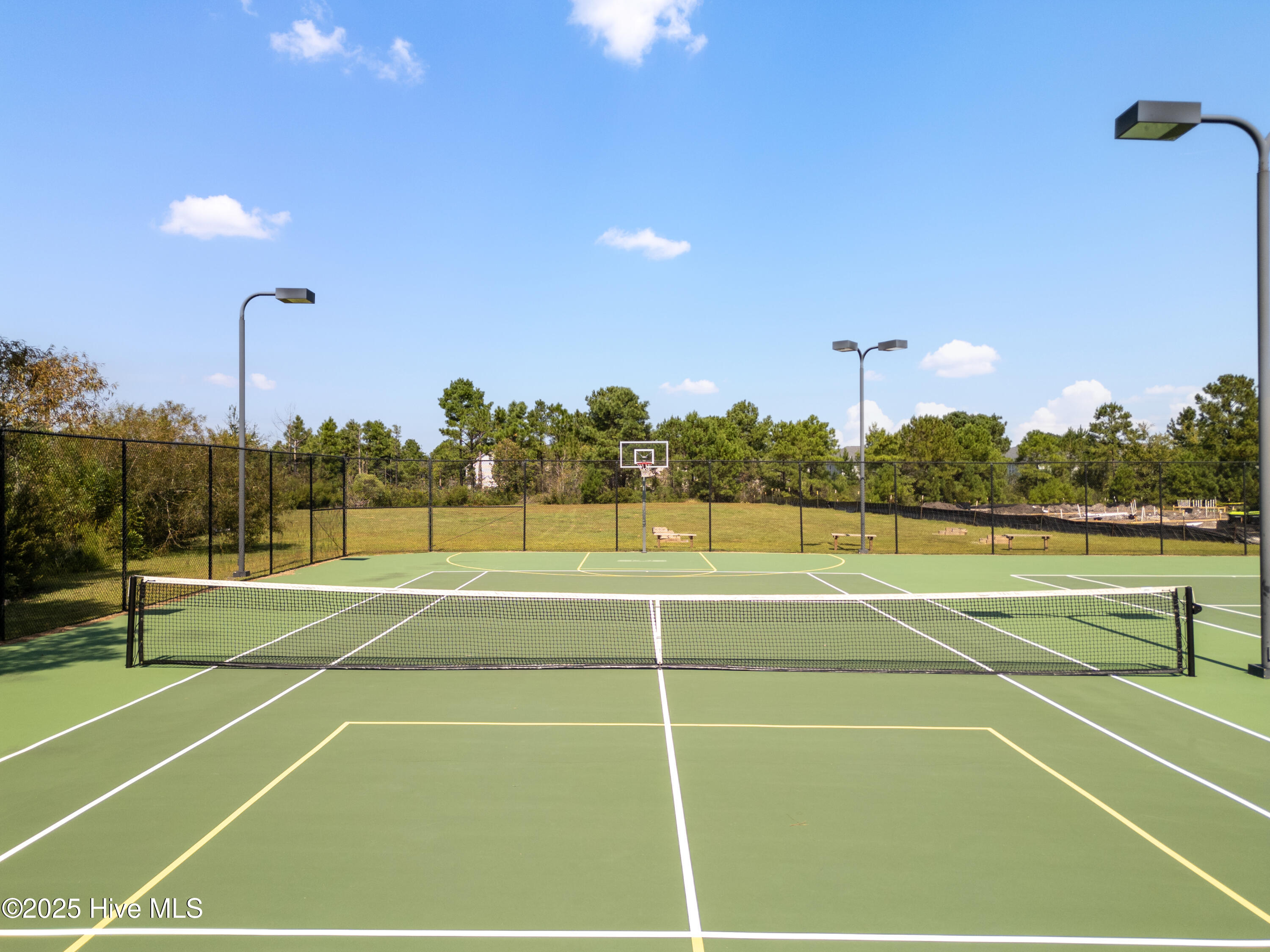 100531716 | Photo 31