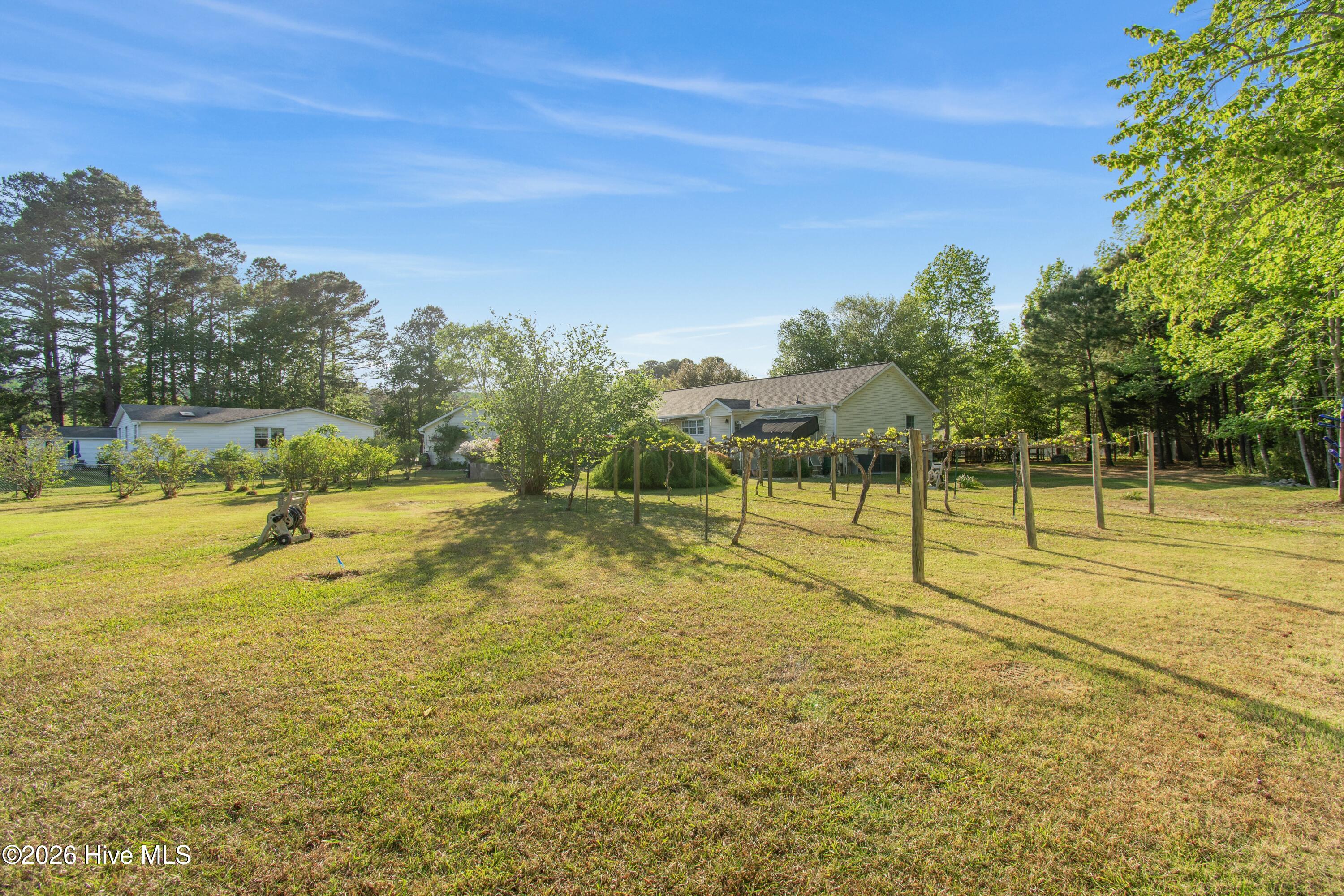 100568231 | Photo 16