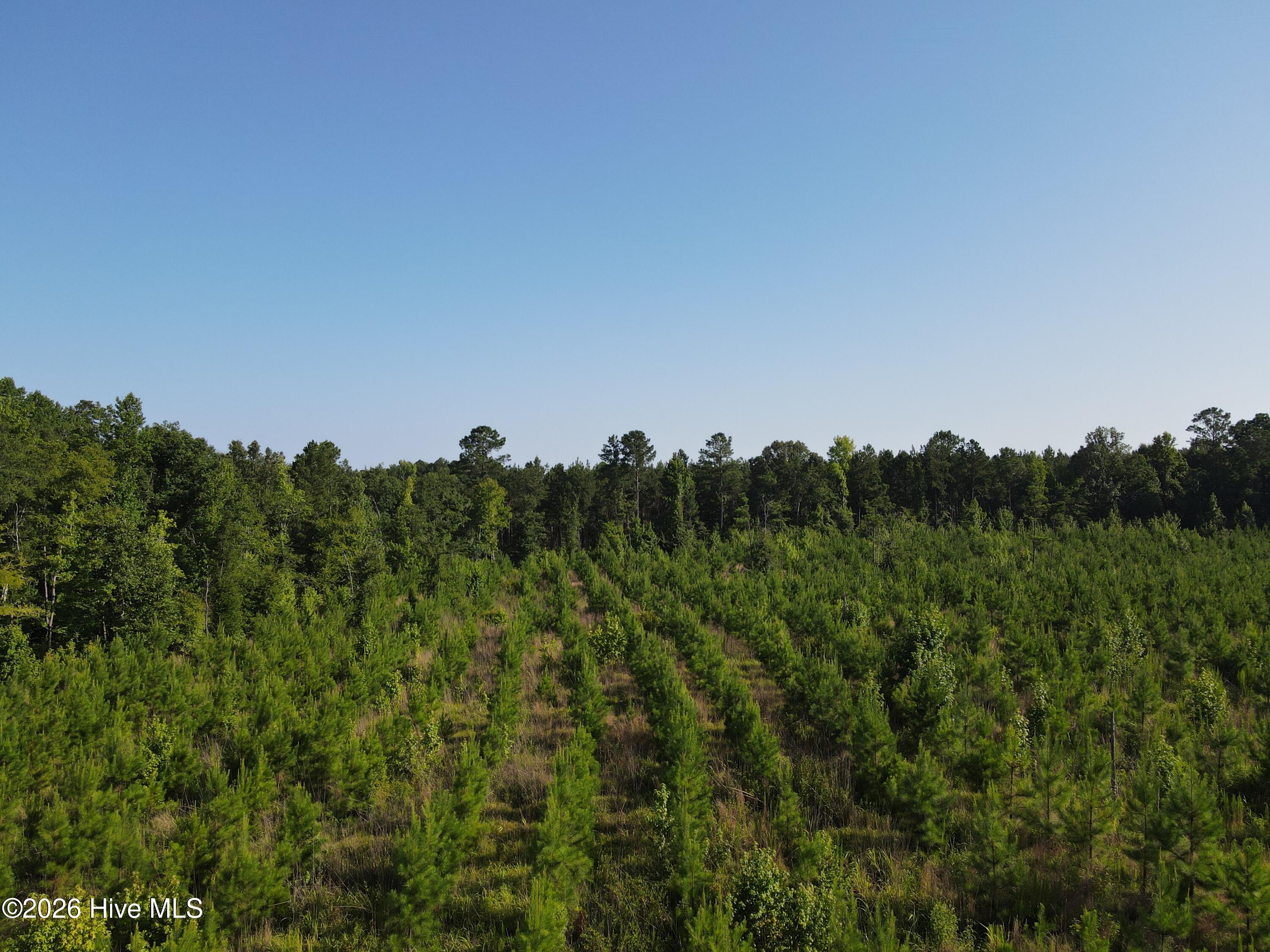 Photo 3 of Land for sale at 1 Youngblood Rd, Sparta, GA 31087 | MLS# 100590406 | Listing updated on 2026-08-18