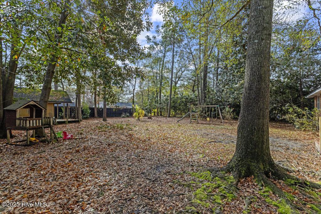 100524871 | Photo 49