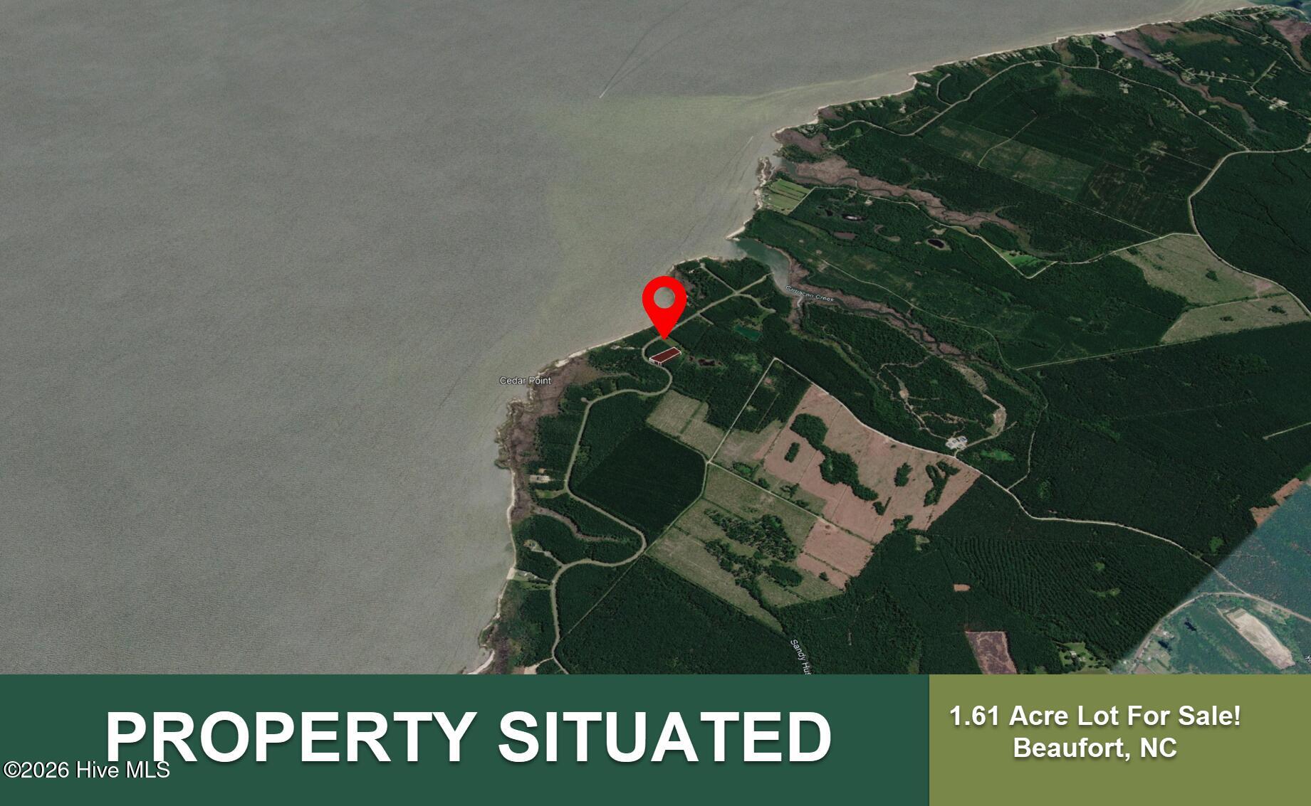 100576037 | Photo 3