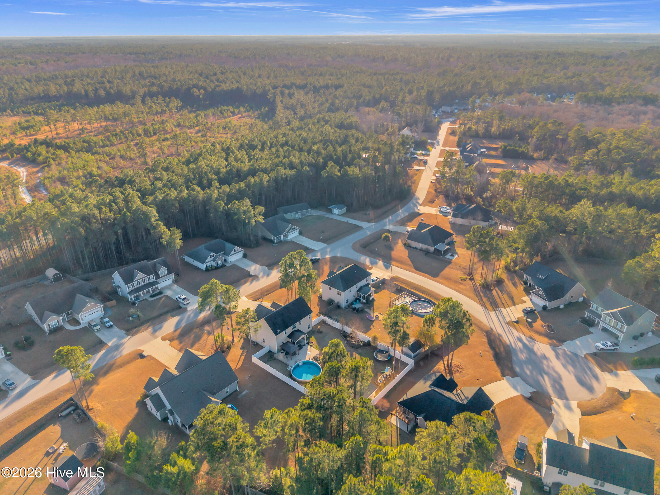 100556499 | Photo 58