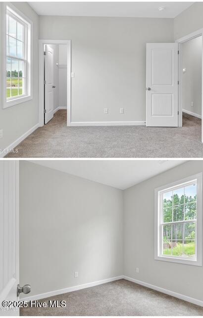 100537819 | Photo 19