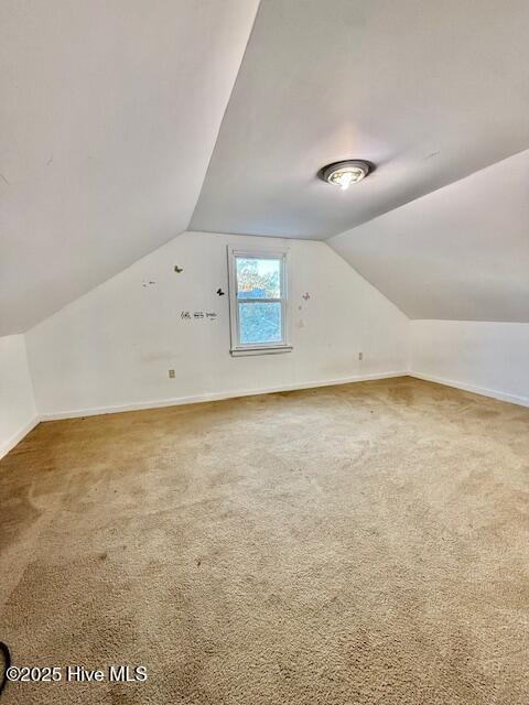 100542473 | Photo 34