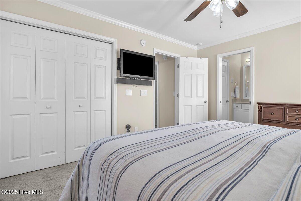 100546771 | Photo 24