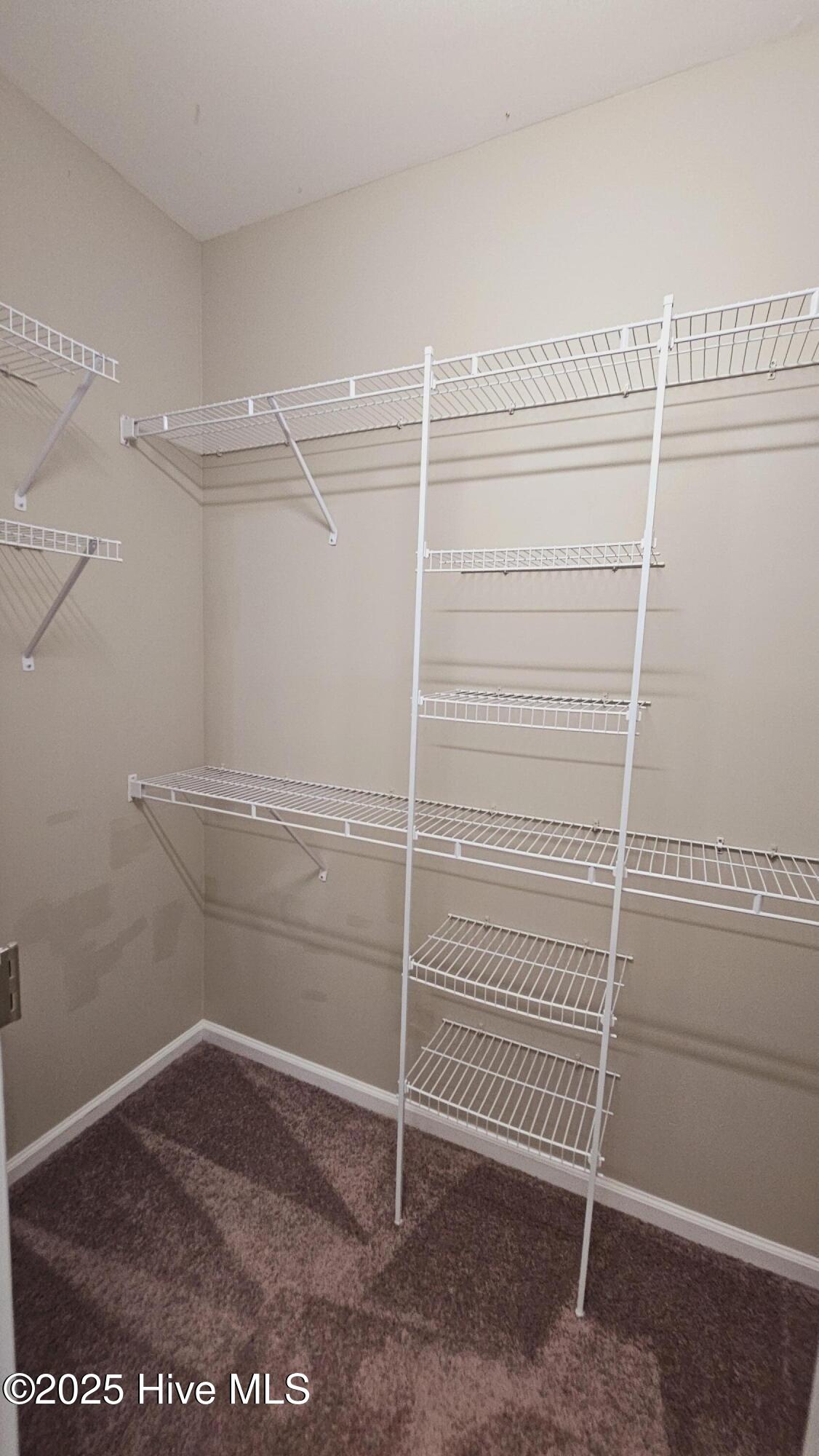 100568214 | Photo 12