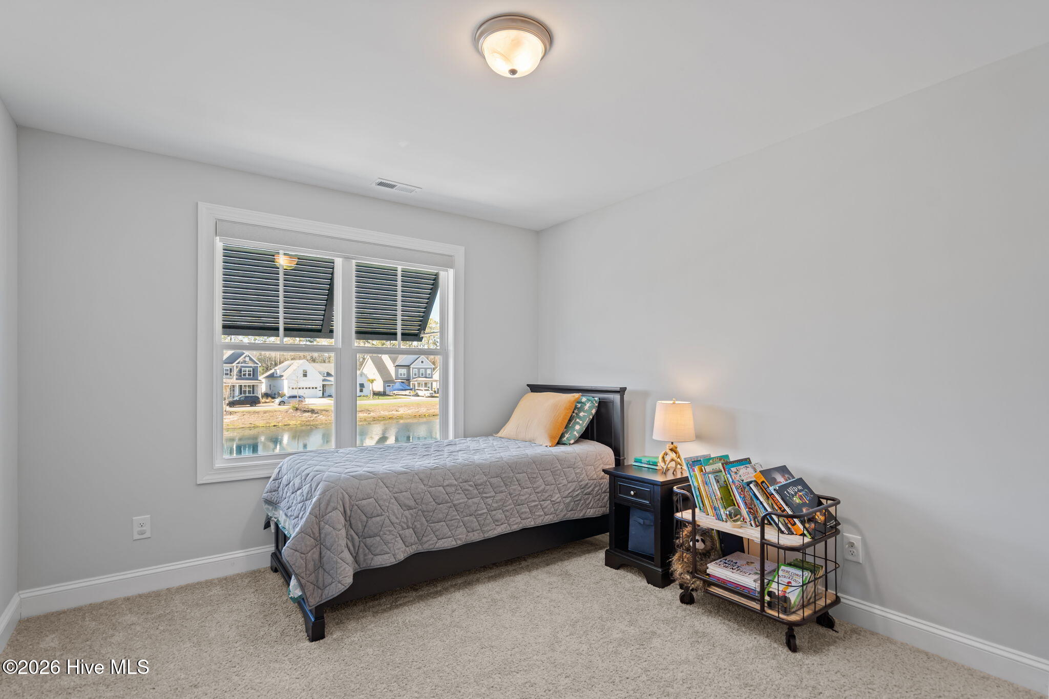 100562064 | Photo 34