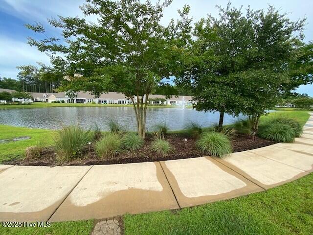 100554847 | Photo 39